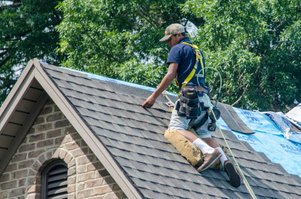 Best Roof Leak Repair  in Lindenwold, NJ